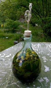 ferment wiosna