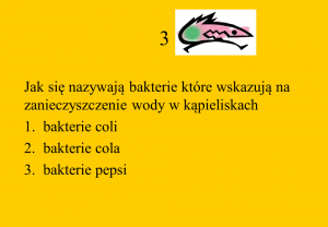 quizz 3