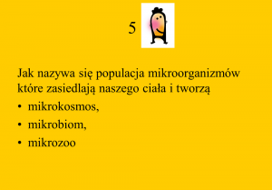 quizz 5