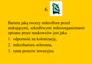 quizz 6