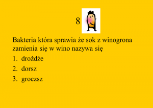 quizz 8
