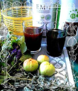 ferment-pigwa