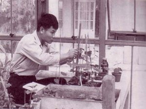 prof.Higa