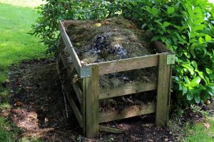 compost-419259_1920