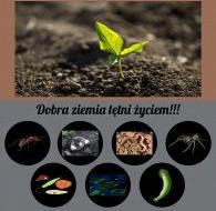 tętni życiem